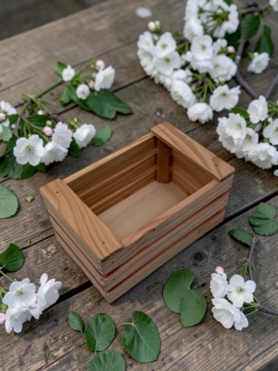 Cassetta in legno massello di Douglas 19×12×h10 cm – confezione regalo e presentazione - immagine 5